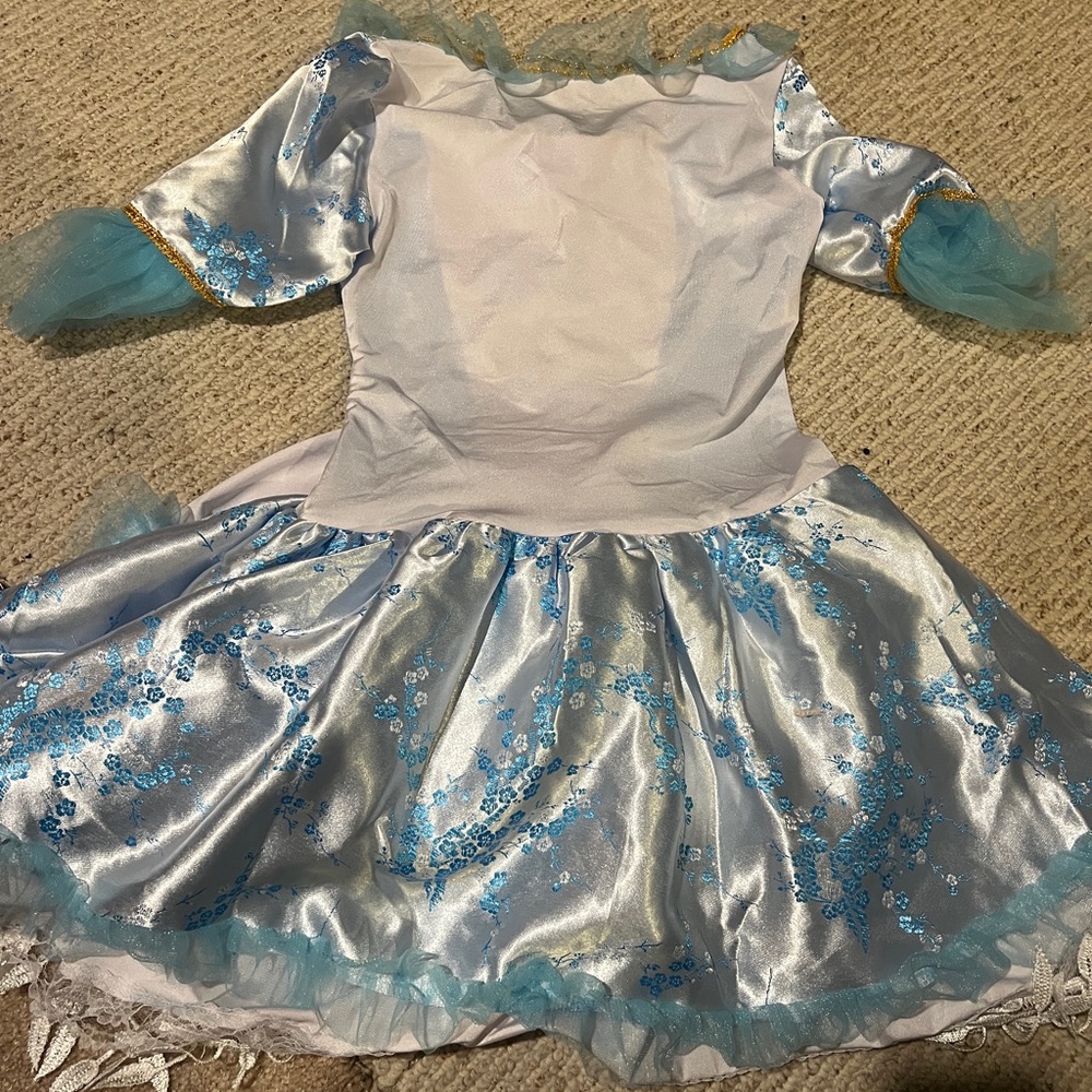 - Marie Antoinette costume - Picture 3 of 8